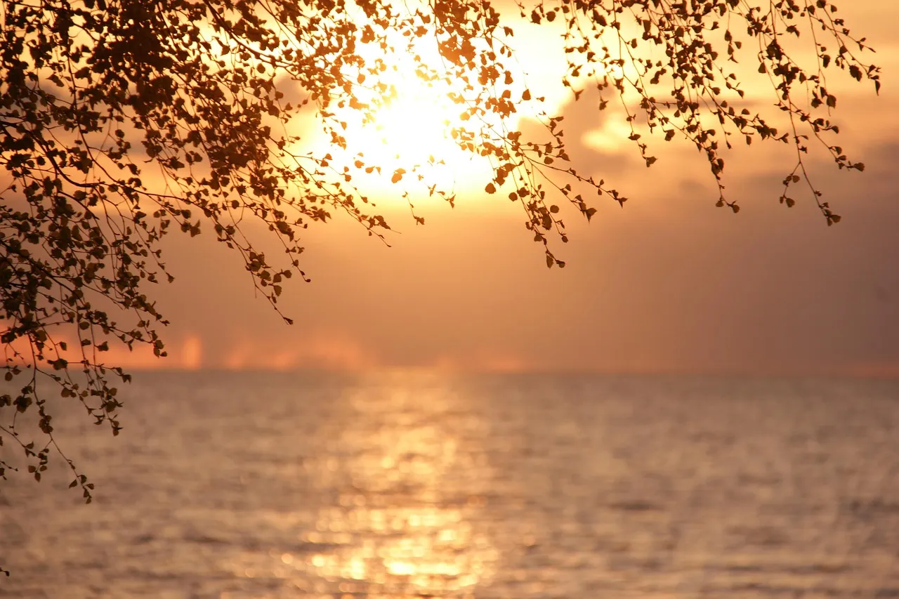 Auringonlasku järven yllä, koivun oksia siluettina